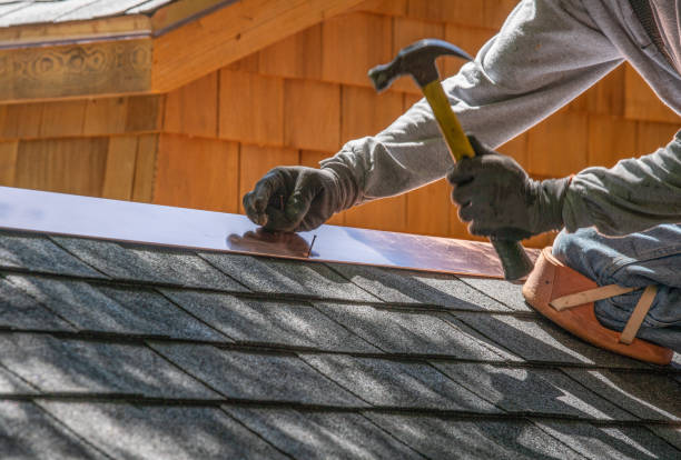 Best Roof Maintenance and Cleaning  in Cedar Glen Lakes, NJ